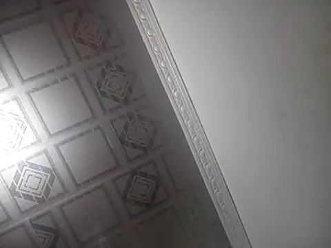 PlanetalMilk online show from April 25, 2026, 2:03 am