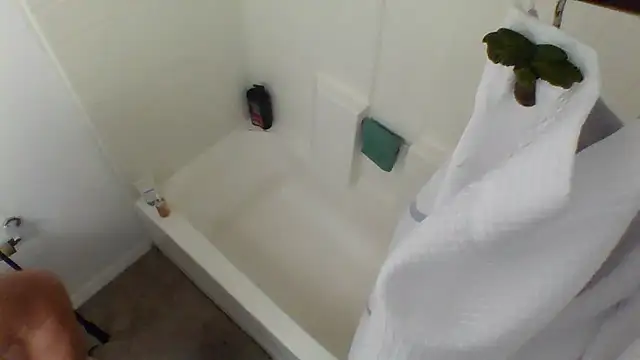 Snapshot of Yankeedave420 chatting on January 27, 2025, 3:47 am Yankeedave420 online show from January 27, 2025, 3:47 am