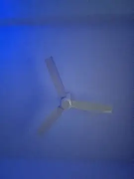 monabhabi22 online show from February 24, 2025, 11:32 am