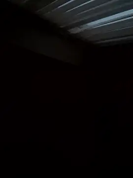 Flossy Vettie online show from November 25, 2025, 2:39 pm