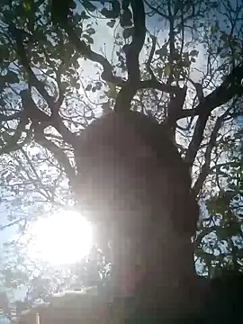 Mohni Das online show from March 25, 2026, 7:47 am