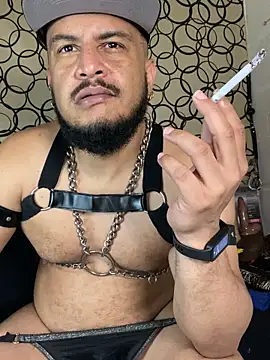 the master foal  online show from March 7, 2026, 10:01 am