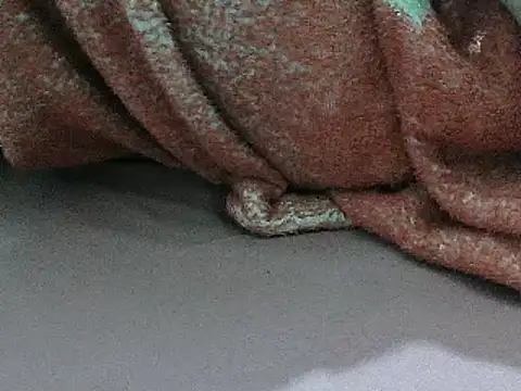 FUN4TIPS online show from March 2, 2025, 5:14 pm