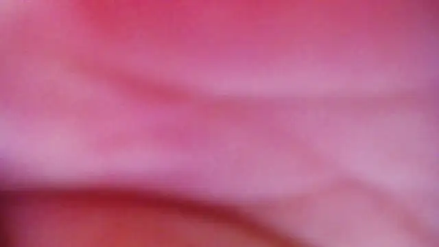 JessikaDaniel online show from April 16, 2026, 6:36 am