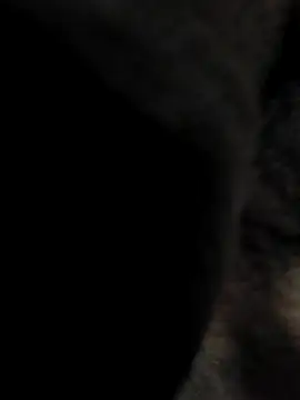 Snapshot of indian_boy001 chatting on February 23, 2025, 3:45 am indian boy001 online show from February 23, 2025, 3:45 am