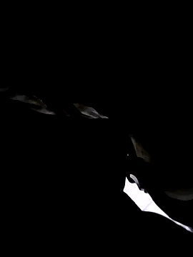 74bob online show from September 21, 2025, 4:25 am