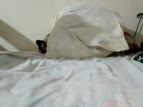 Snapshot of JamesQuaresma chatting on February 11, 2026, 3:39 pm JamesQuaresma online show from February 11, 2026, 3:39 pm