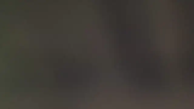 leccaleccafiga online show from February 25, 2026, 6:17 pm