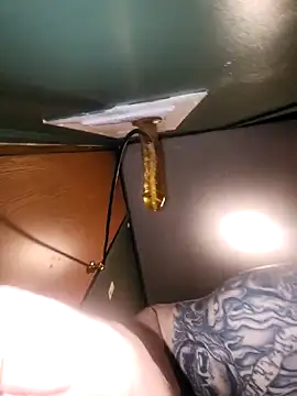 Loosegoose90 online show from February 27, 2026, 5:29 am