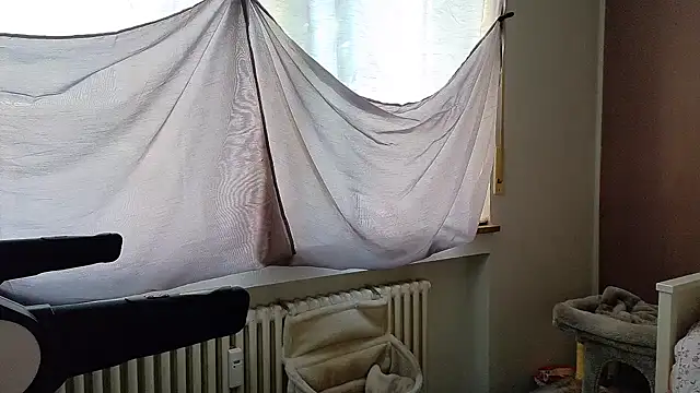 Snapshot of wetgerman_2 chatting on September 28, 2025, 2:33 pm wetgerman 2 online show from September 28, 2025, 2:33 pm