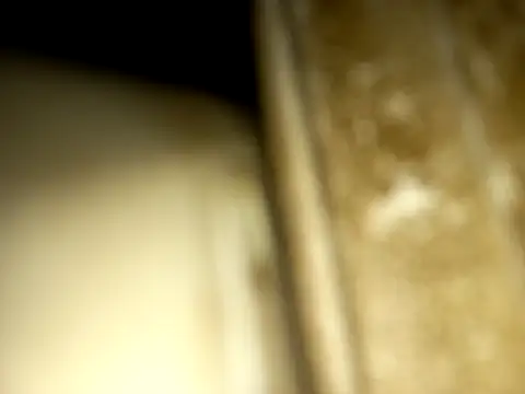 jonjob44 online show from December 14, 2025, 1:11 am