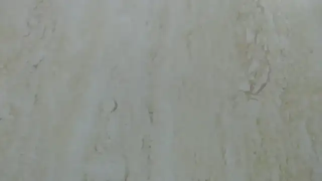 Crazy team  online show from December 20, 2024, 3:31 pm