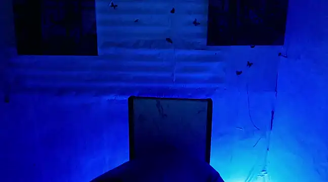 Snapshot of bbygrl_Carol chatting on January 5, 2025, 10:32 am bbygrl Carol online show from January 5, 2025, 10:32 am