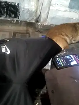 Wero4200 online show from March 13, 2026, 9:05 am