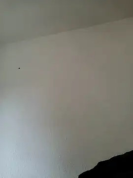 Da master2016 online show from April 10, 2026, 5:56 am