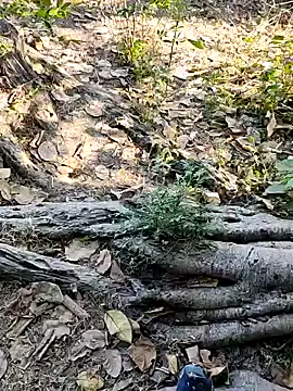 Rinku5553 online show from February 2, 2025, 7:20 am