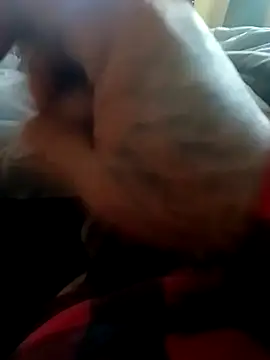 Snapshot of yellowwetfox chatting on November 22, 2025, 9:58 pm yellowwetfox online show from November 22, 2025, 9:58 pm