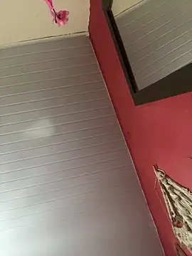 pimenta gaby online show from June 15, 2026, 1:35 pm
