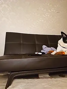 Marushka online show from December 21, 2024, 6:12 pm