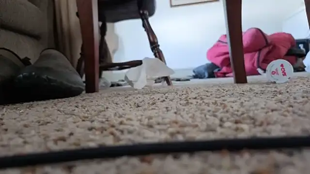 CDforU online show from February 5, 2026, 6:01 pm