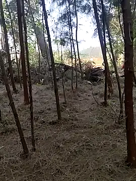 Snapshot of Gopal1243 chatting on February 26, 2025, 2:15 am Gopal1243 online show from February 26, 2025, 2:15 am