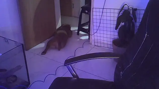 myamillor online show from December 14, 2024, 1:17 am