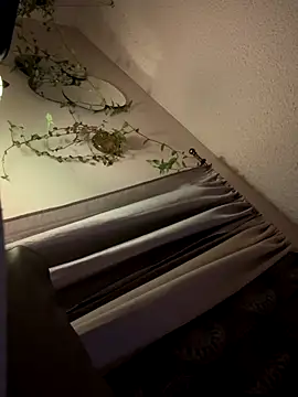 Snapshot of ClumsyLink chatting on October 11, 2025, 12:47 pm ClumsyLink online show from October 11, 2025, 12:47 pm