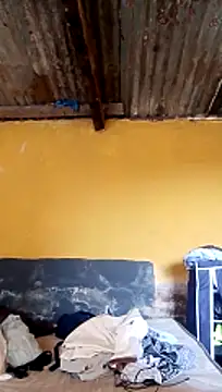 LULE37587001 online show from March 20, 2026, 5:56 am