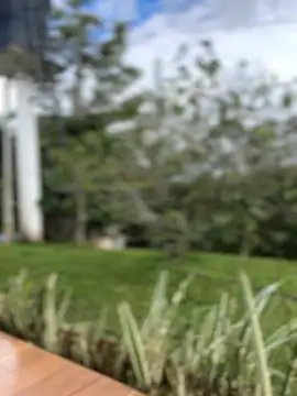 Snapshot of sahorix1 chatting on February 16, 2026, 3:30 pm sahorix1 online show from February 16, 2026, 3:30 pm