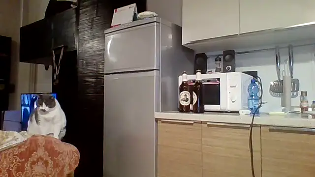 Snapshot of woww791 chatting on October 7, 2025, 5:43 pm woww791 online show from October 7, 2025, 5:43 pm