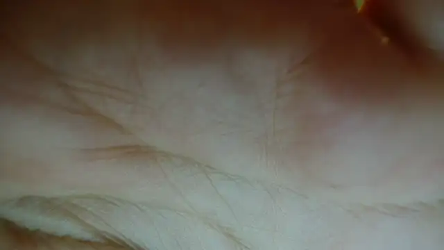 Sassy Latina online show from January 12, 2026, 3:01 am