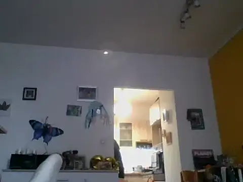 Snapshot of 82liska chatting on November 9, 2025, 11:19 am 82liska online show from November 9, 2025, 11:19 am