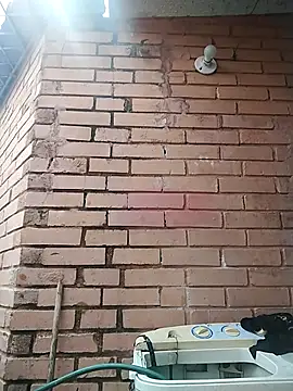 valeriaswang Lucas online show from December 4, 2025, 3:43 pm