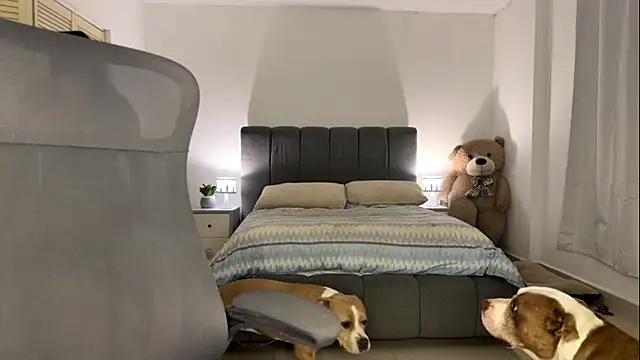 nurbanu hatem online show from February 13, 2026, 8:43 am