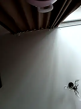 Lovers  Annn online show from March 9, 2026, 3:10 am