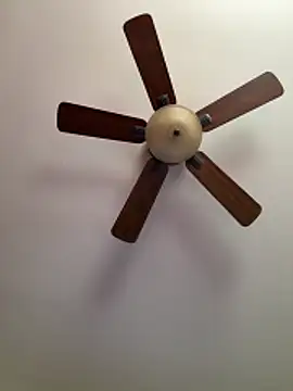 QueenNuttCollector online show from March 27, 2026, 4:40 pm