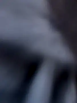 Snapshot of Fellix chatting on December 3, 2024, 11:44 am Fellix online show from December 3, 2024, 11:44 am