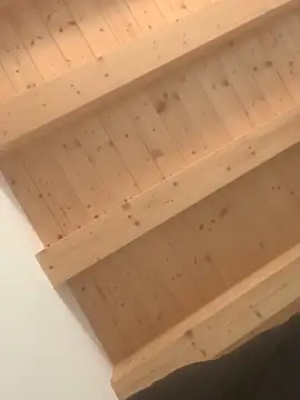 Snapshot of Fellix chatting on February 4, 2025, 2:43 pm Fellix online show from February 4, 2025, 2:43 pm