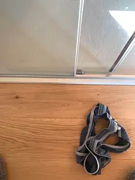 Snapshot of Fellix chatting on March 4, 2025, 2:53 pm Fellix online show from March 4, 2025, 2:53 pm