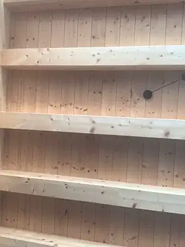 Snapshot of Fellix chatting on March 11, 2025, 11:23 am Fellix online show from March 11, 2025, 11:23 am