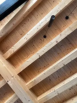 Snapshot of Fellix chatting on October 17, 2025, 10:29 am Fellix online show from October 17, 2025, 10:29 am