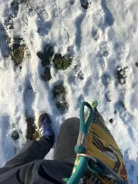 Snapshot of Mrbighardcock chatting on January 14, 2026, 10:21 am Mrbighardcock online show from January 14, 2026, 10:21 am