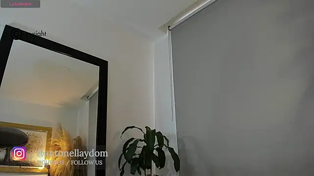 antonella dom1 online show from October 21, 2025, 10:21 pm