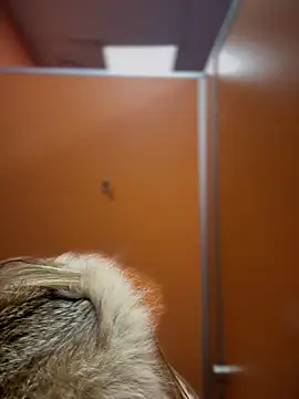 Snapshot of pinkstar_ chatting on February 24, 2025, 9:10 am pinkstar online show from February 24, 2025, 9:10 am