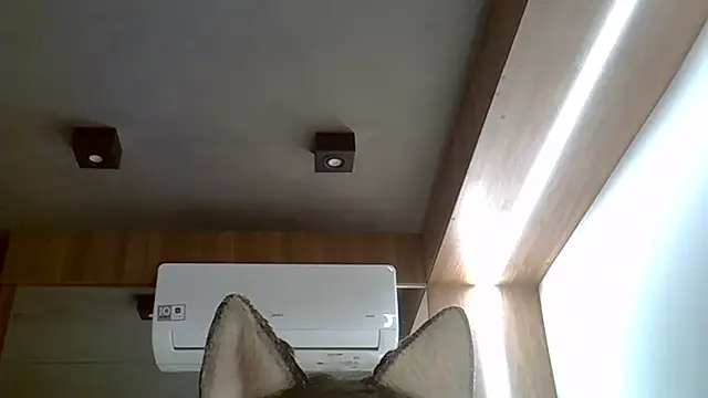 Snapshot of Skinny-Kitten chatting on September 20, 2025, 2:45 am Skinny-Kitten online show from September 20, 2025, 2:45 am