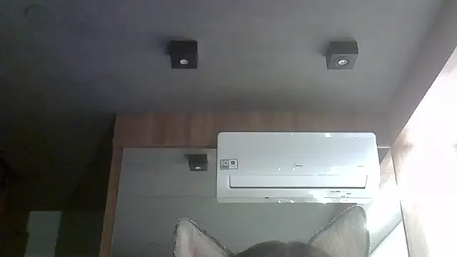 Snapshot of Skinny-Kitten chatting on October 4, 2025, 12:30 am Skinny-Kitten online show from October 4, 2025, 12:30 am