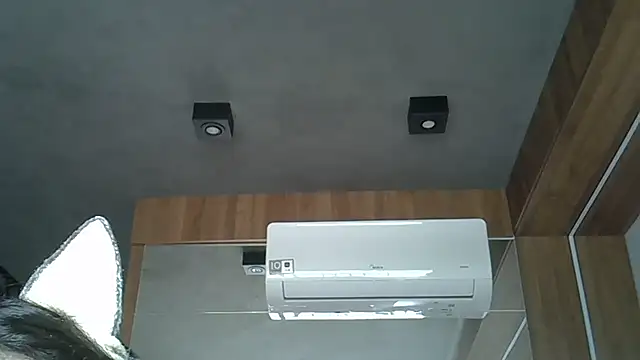 Snapshot of Skinny-Kitten chatting on October 9, 2025, 12:36 pm Skinny-Kitten online show from October 9, 2025, 12:36 pm