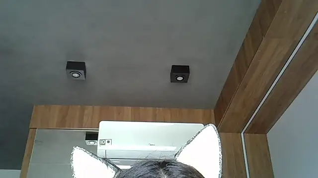 Snapshot of Skinny-Kitten chatting on October 12, 2025, 2:27 pm Skinny-Kitten online show from October 12, 2025, 2:27 pm