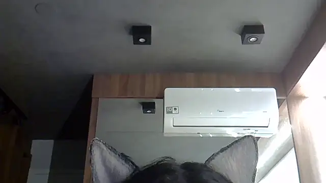 Snapshot of Skinny-Kitten chatting on October 20, 2025, 1:39 am Skinny-Kitten online show from October 20, 2025, 1:39 am