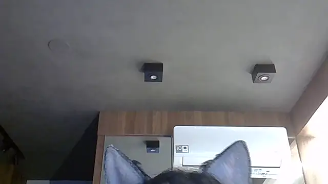 Snapshot of Skinny-Kitten chatting on October 31, 2025, 9:21 am Skinny-Kitten online show from October 31, 2025, 9:21 am